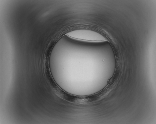 X0000116620217200912110947