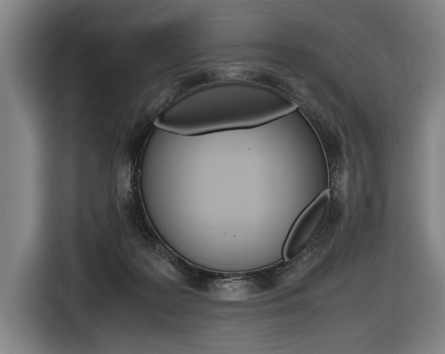 X0000116620219200912110947