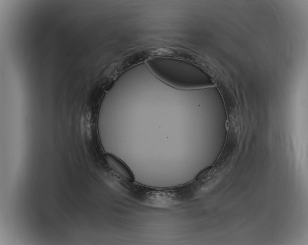 X0000116620223200912110947