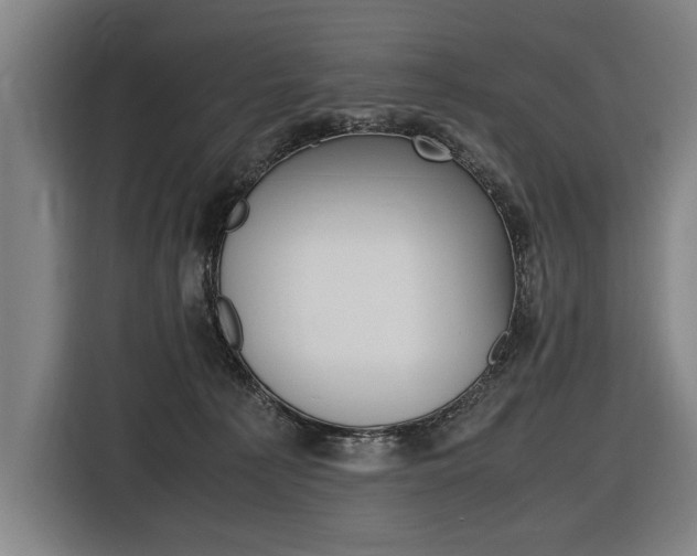 X0000116620225200912110947
