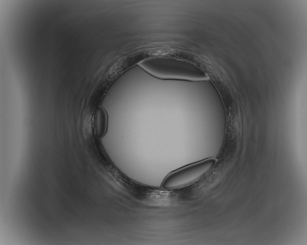 X0000116620227200912110947