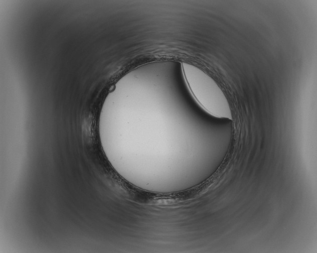X0000116620228200912110947