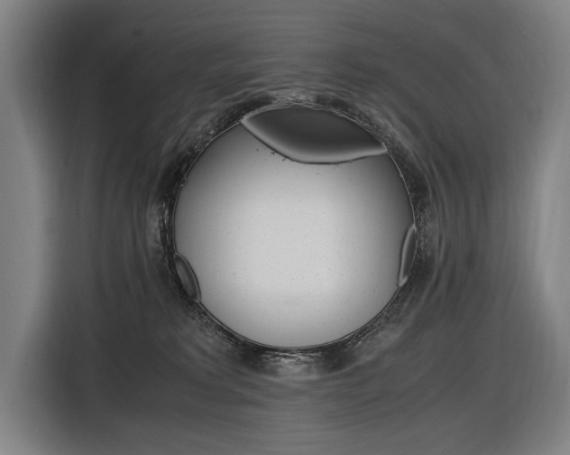 X0000116620229200912110947