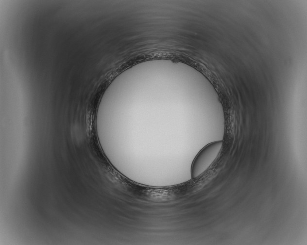 X0000116620230200912110947