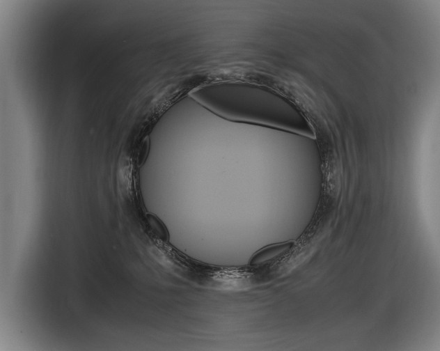 X0000116620231200912110947