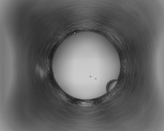 X0000116620232200912110947