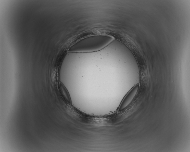 X0000116620233200912110947