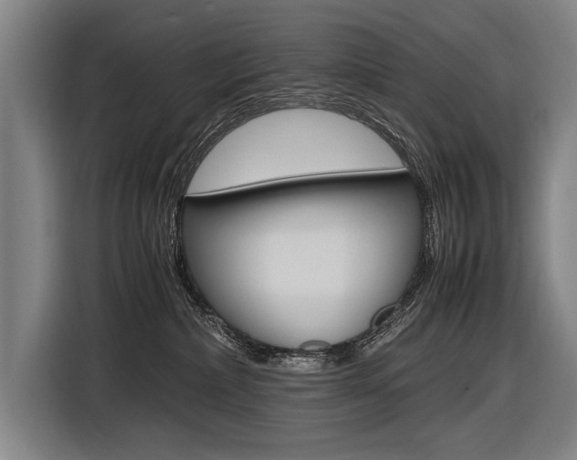 X0000116620236200912110947