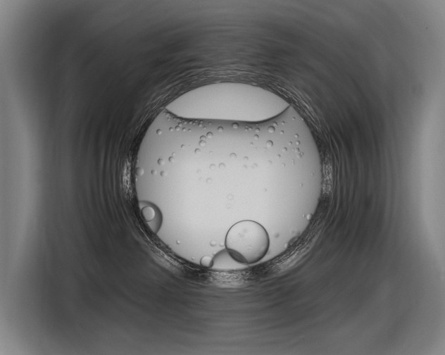 X0000116620238200912110947