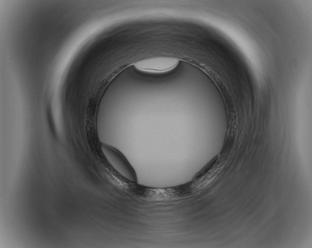 X0000116620239200912110947