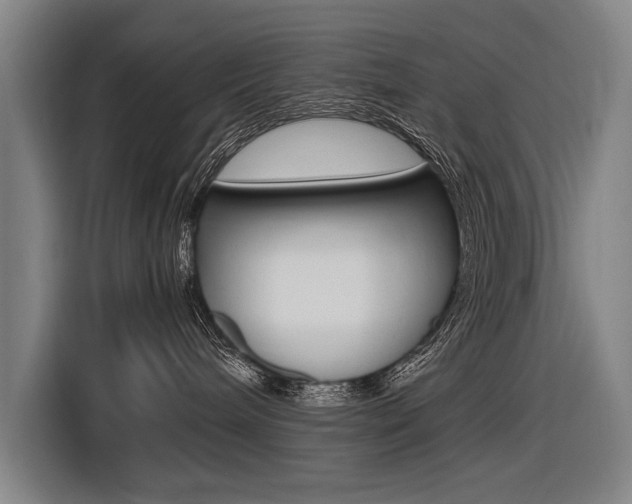 X0000116620240200912110947