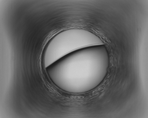 X0000116620242200912110946