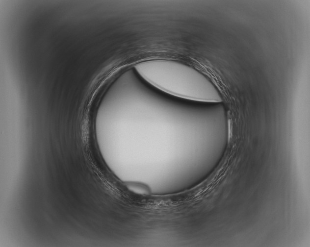 X0000116620243200912110946