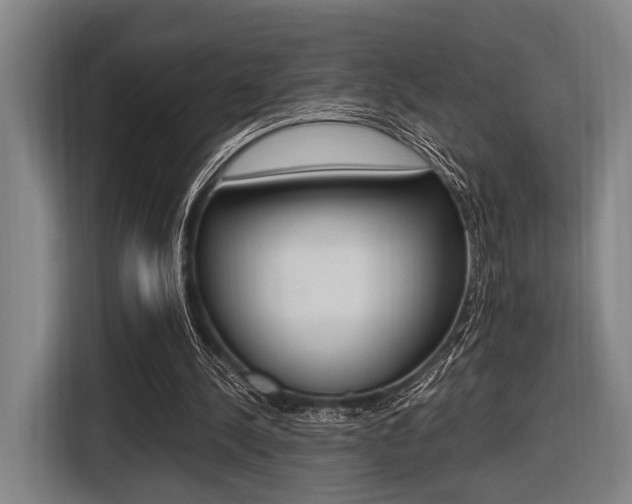 X0000116620244200912110946