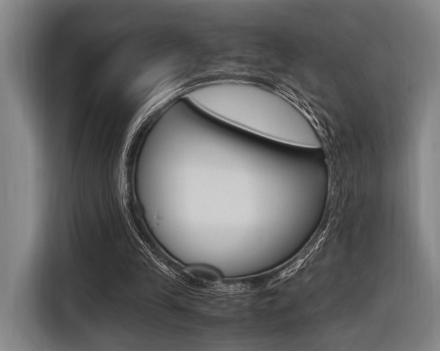 X0000116620245200912110946
