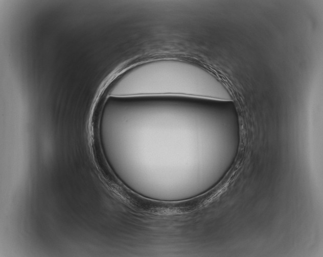 X0000116620246200912110946