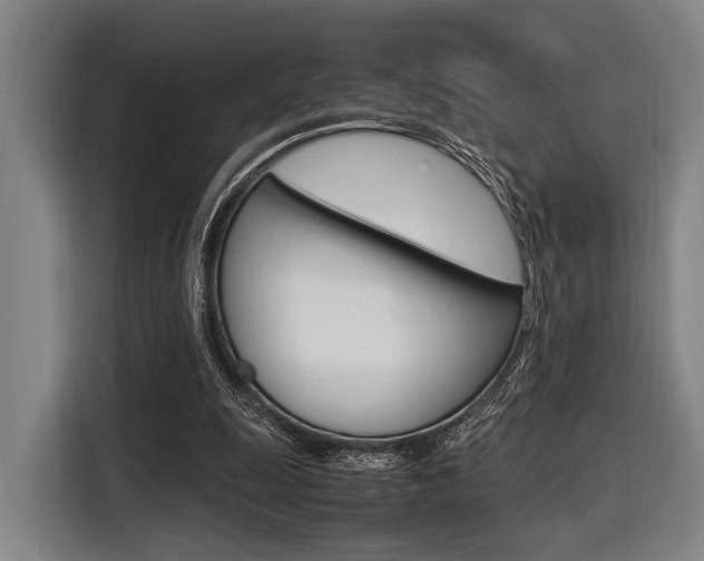 X0000116620247200912110946