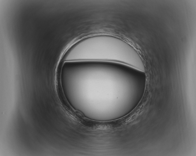 X0000116620248200912110946
