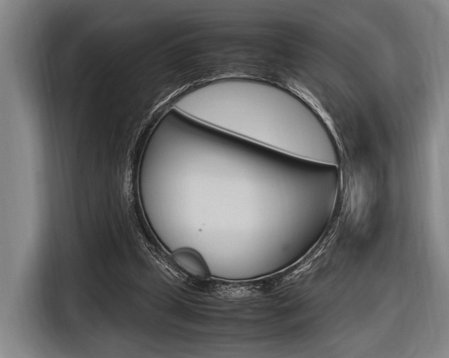 X0000116620249200912110946