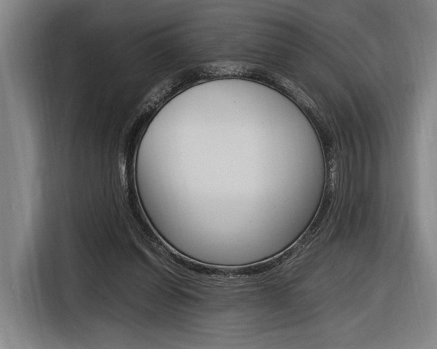 X0000116620254200912110946