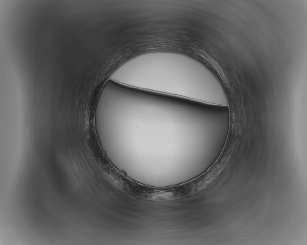 X0000116620257200912110946