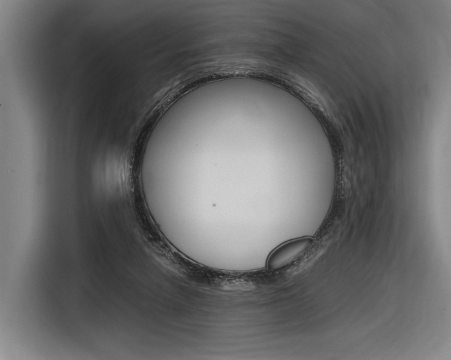 X0000116620258200912110946