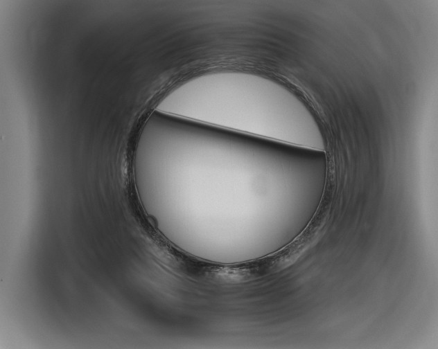 X0000116620261200912110946