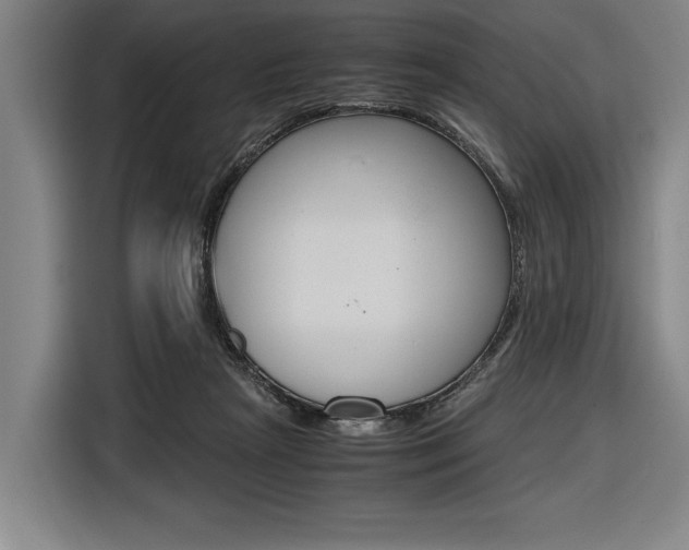 X0000116620265200912110947
