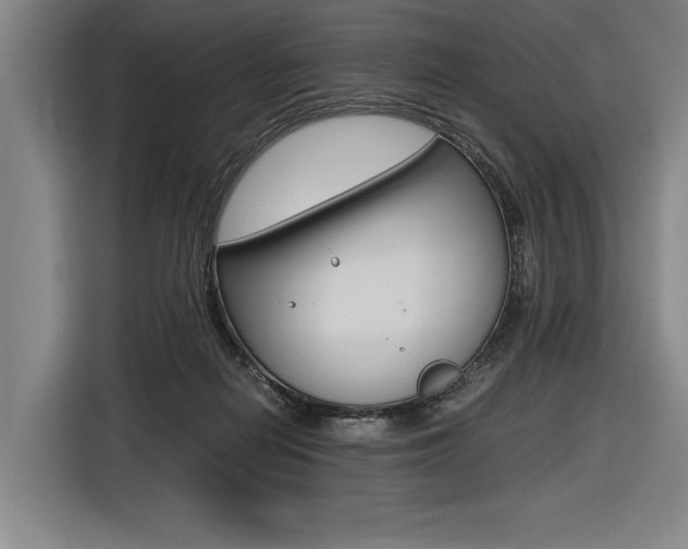 X0000116620266200912110947