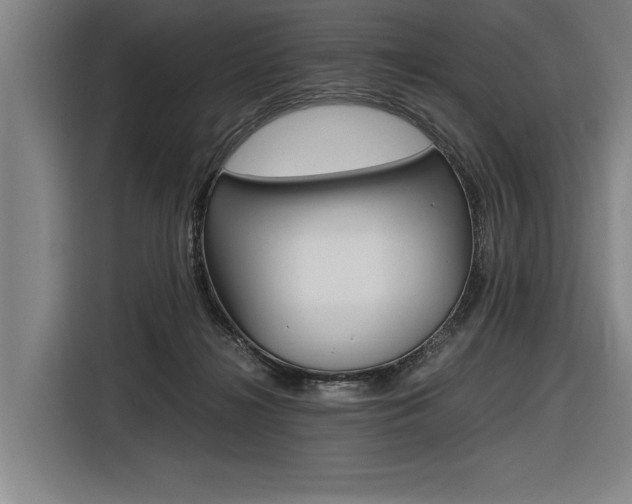 X0000116620268200912110947