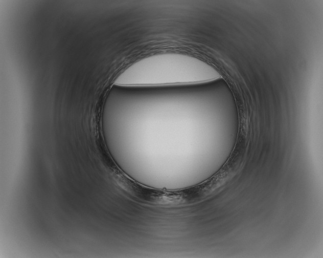 X0000116620270200912110947