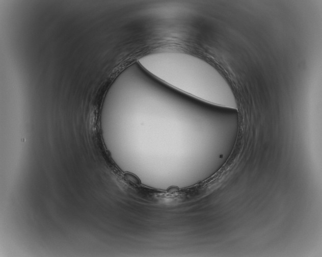 X0000116620273200912110947
