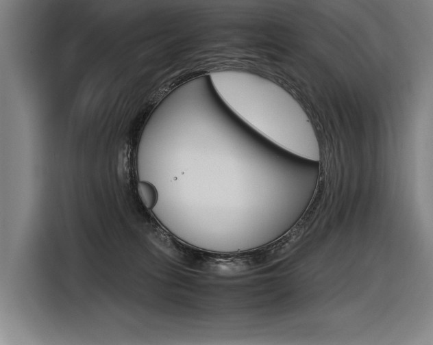 X0000116620275200912110947