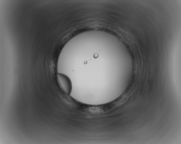 X0000116620279200912110947