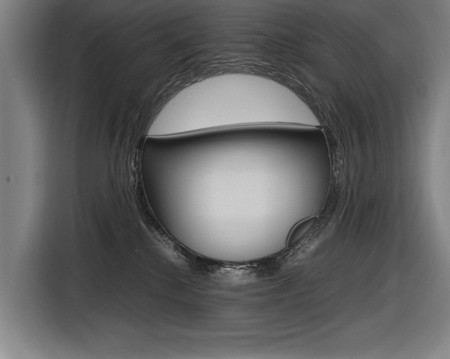 X0000116620280200912110947