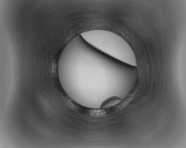 X0000116620281200912110947