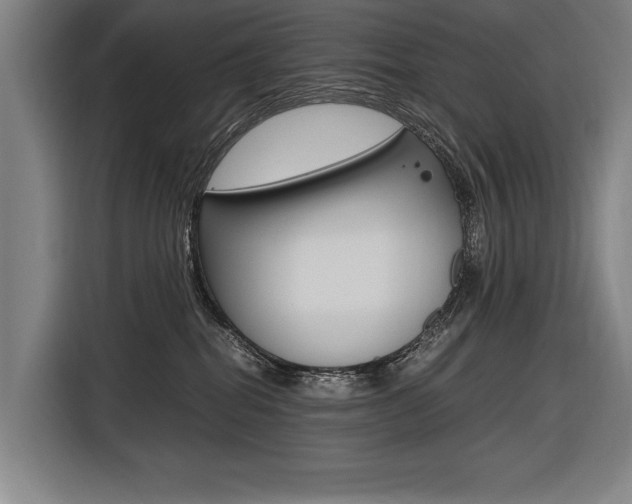 X0000116620282200912110947