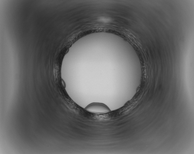 X0000116620283200912110947