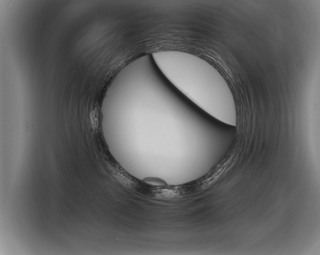 X0000116620285200912110947