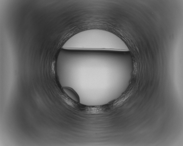 X0000116620286200912110947