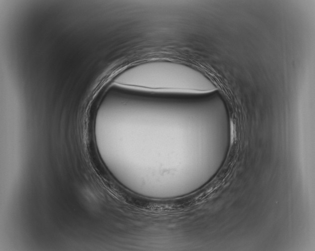 X0000116620291200912110946