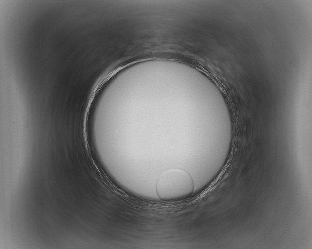 X0000116620294200912110946