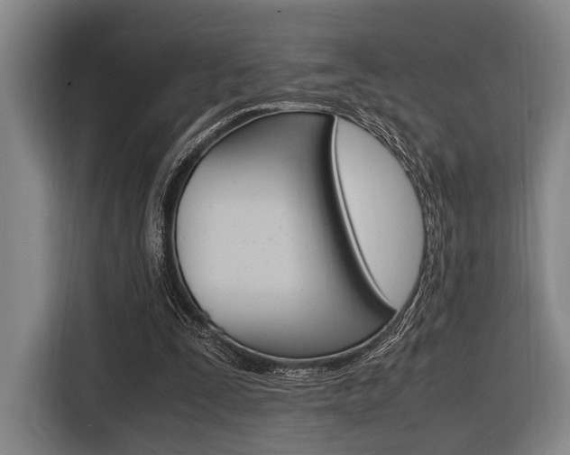 X0000116620295200912110946