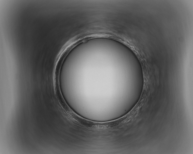X0000116620296200912110946
