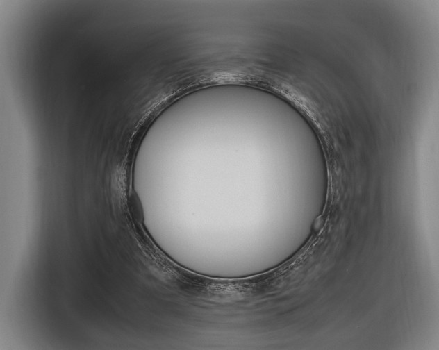 X0000116620297200912110946