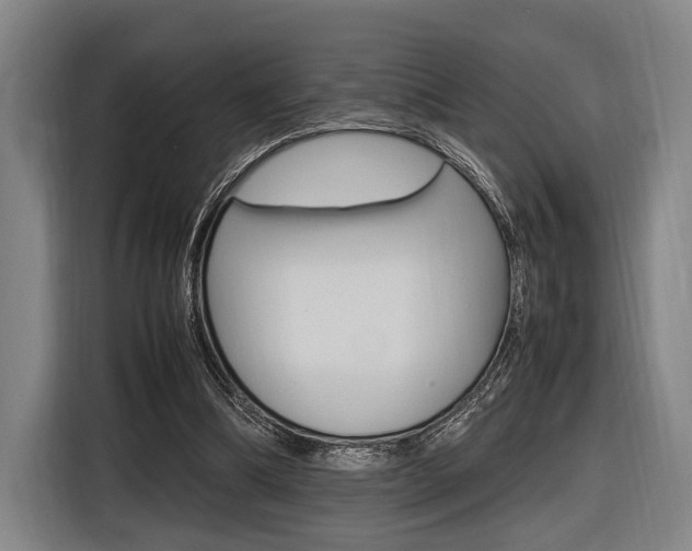 X0000116620298200912110946