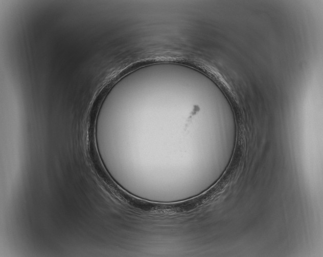 X0000116620299200912110946