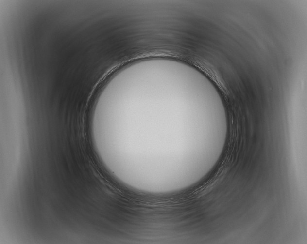 X0000116620300200912110946