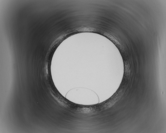 X0000116620302200912110946