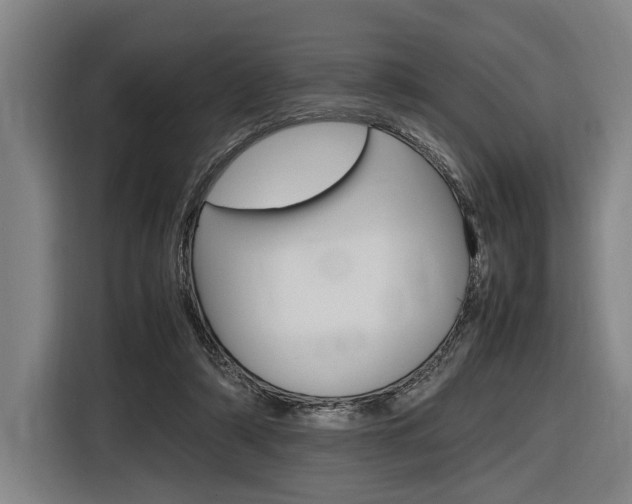 X0000116620306200912110946